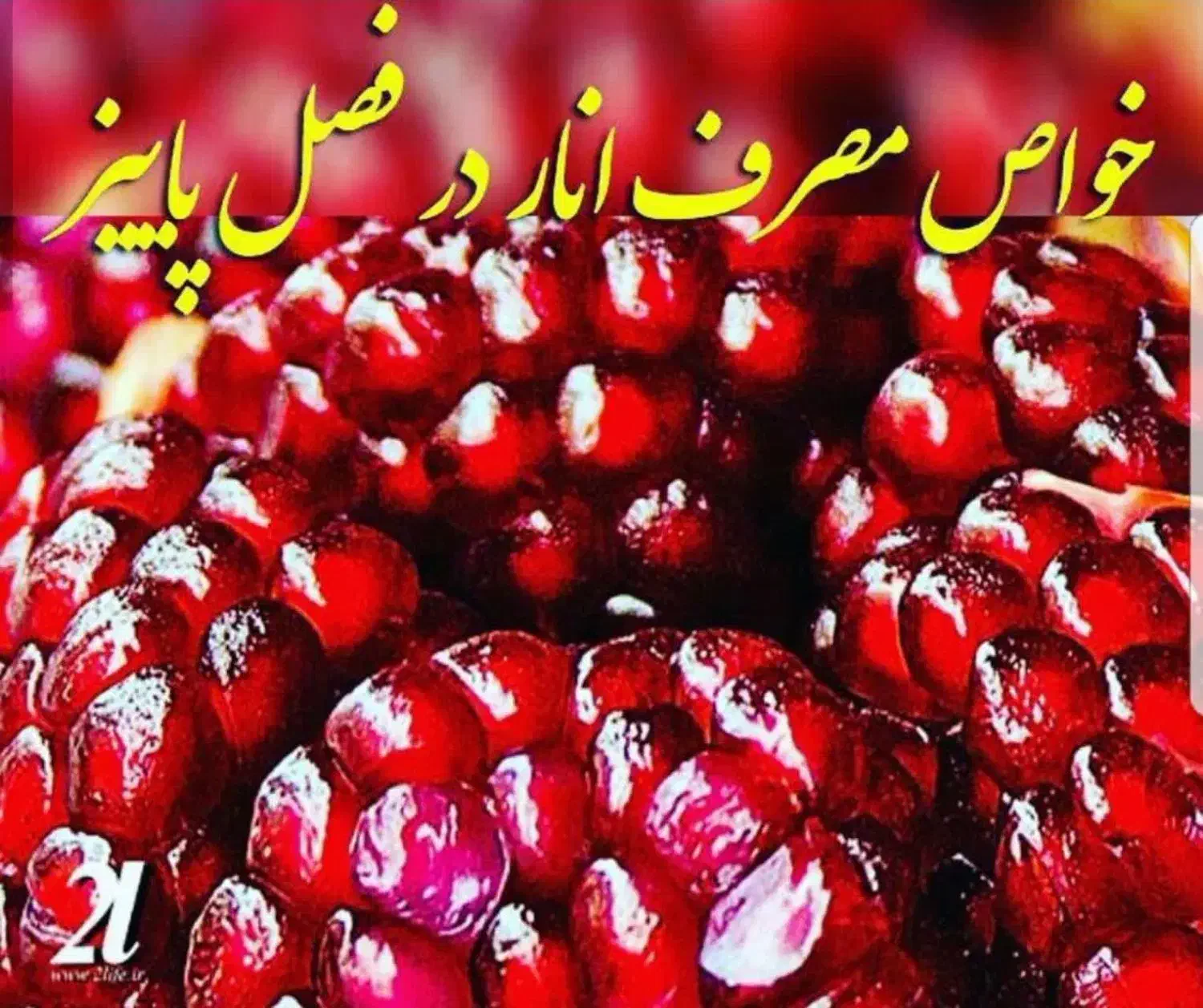 مهربانی و اعتبار ملی|خدمات مالی، حسابداری، بیمه|داراب, |دیوار