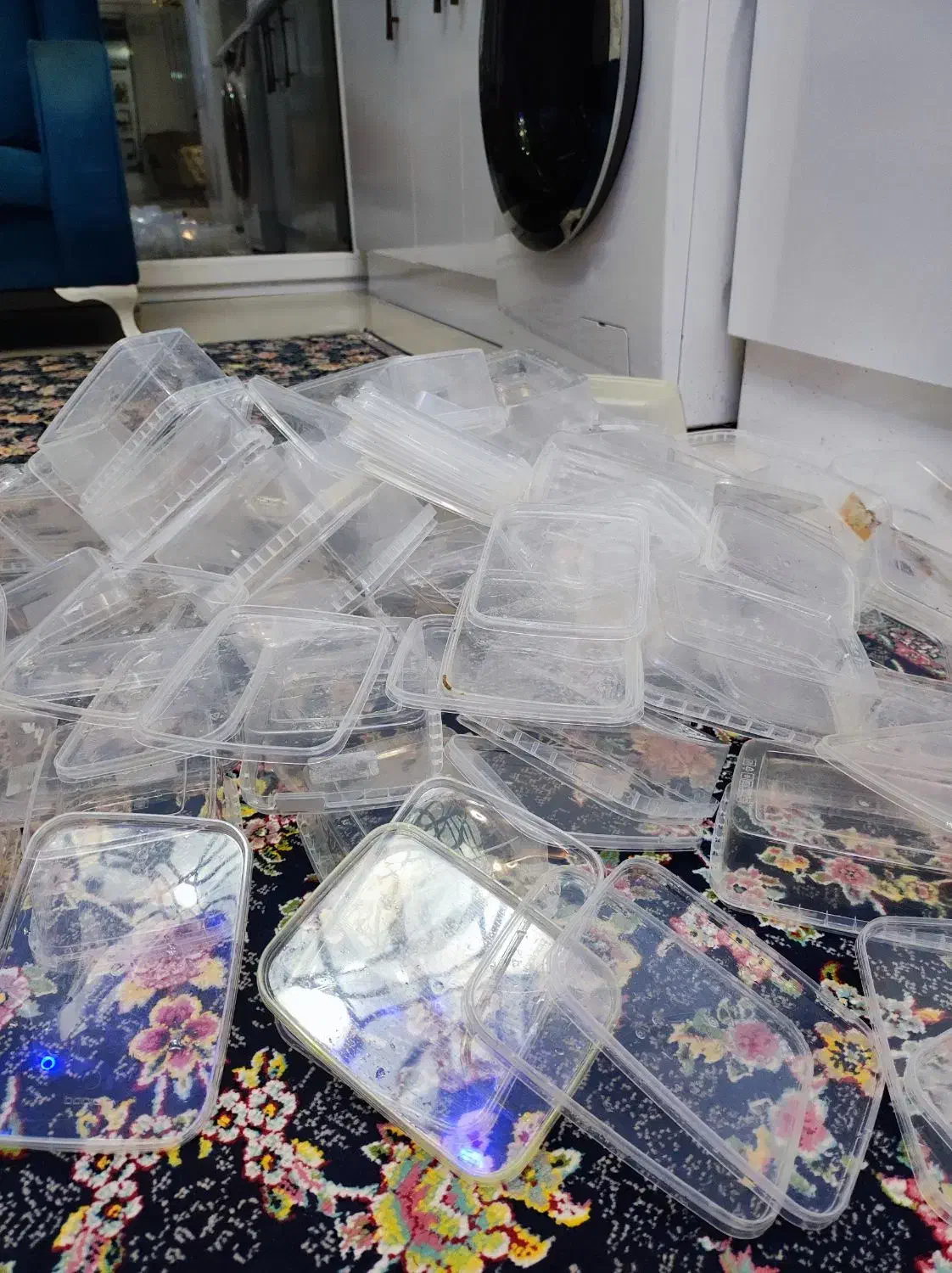 ظرف فریزری|ظروف نگهدارنده، پلاستیکی، یک‌بارمصرف|رودسر, |دیوار