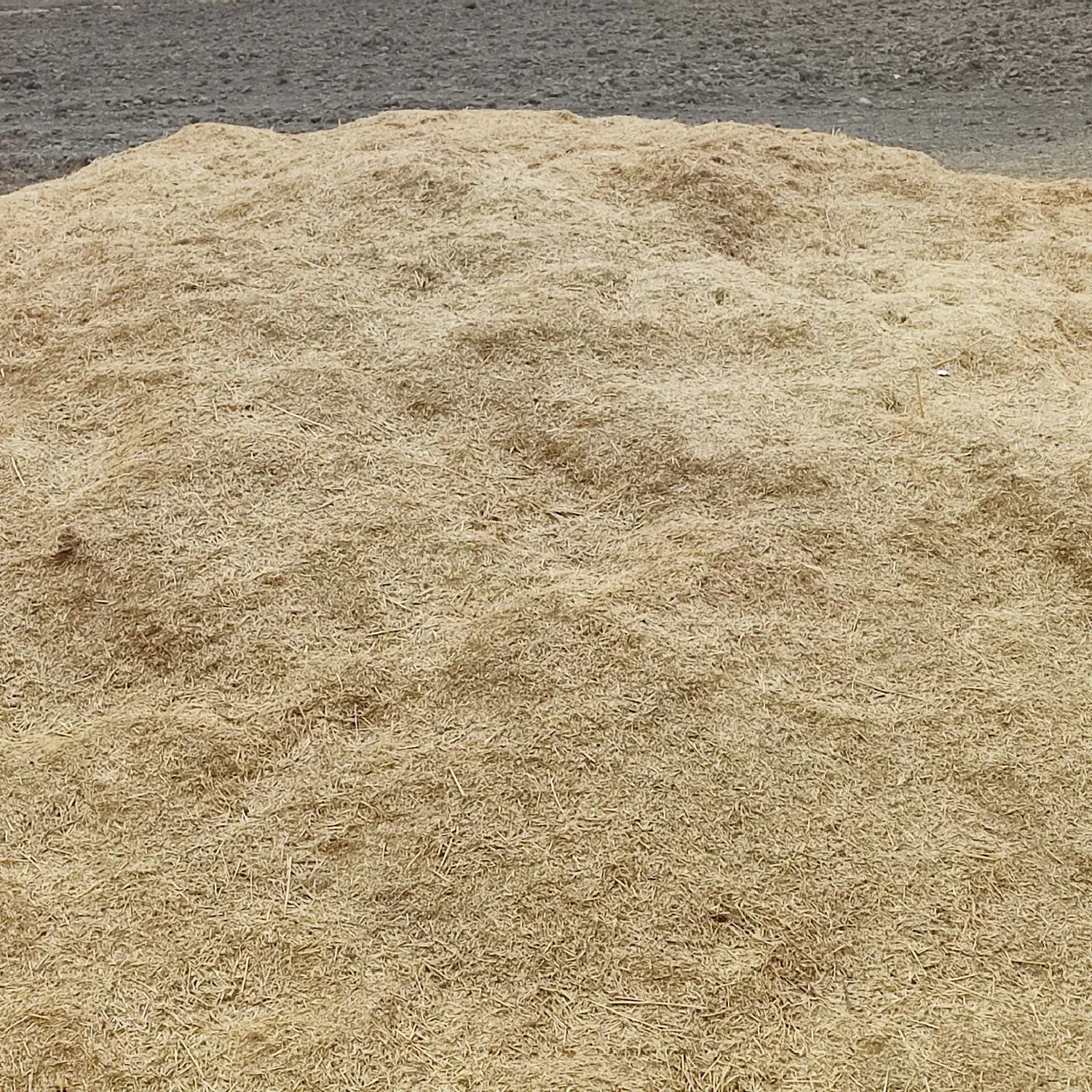 کاه جو دیم|عمده‌فروشی|شیروان (لرستان), |دیوار