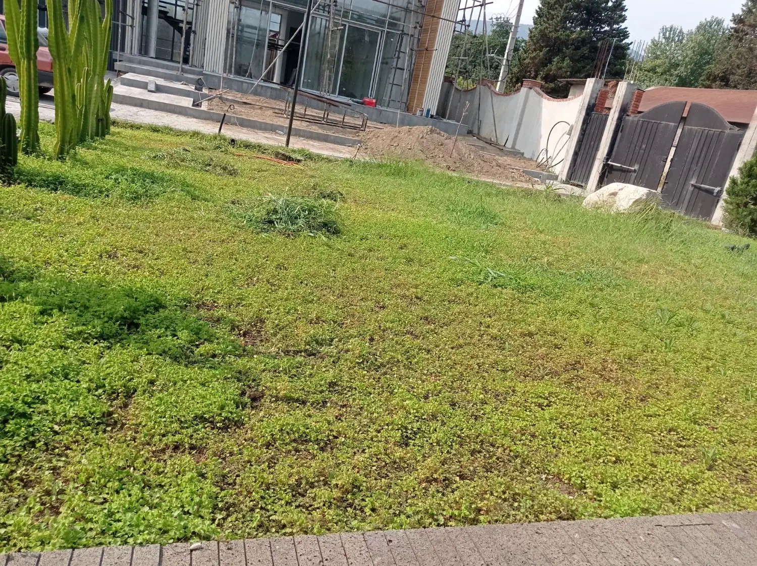 باغبانی و هرس کاری|خدمات باغبانی و درختکاری|نوشهر, |دیوار