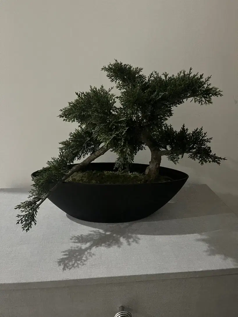 بن سای مصنوعی|گل مصنوعی|اندیشه, اندیشه فاز ۱|دیوار