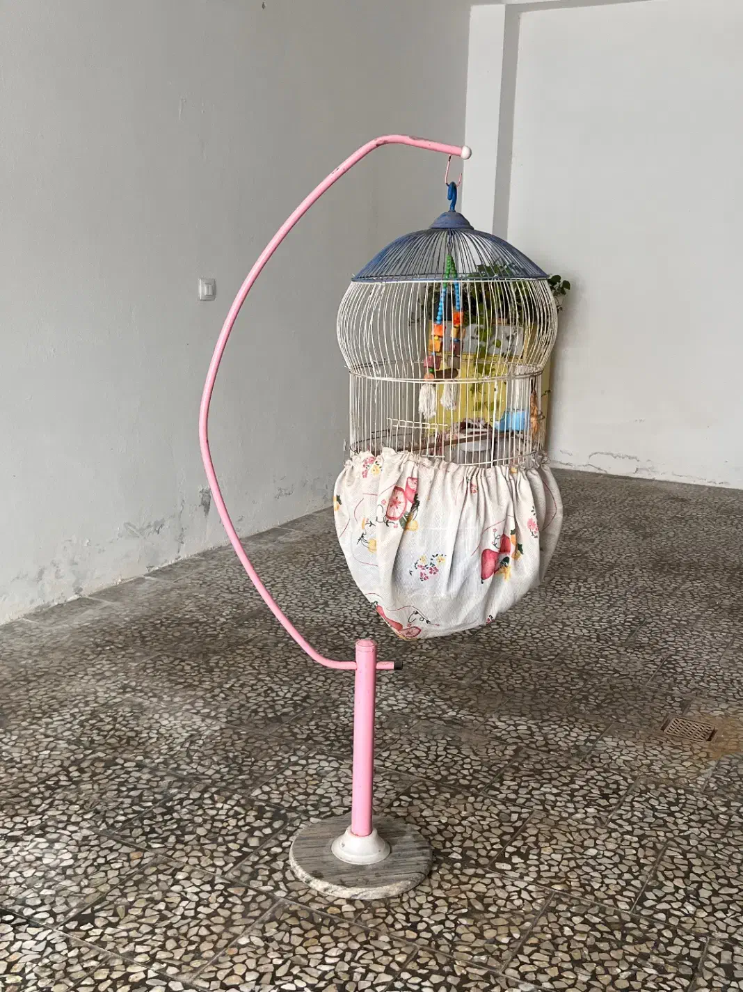 قفس پرنده بزرگ|لوازم جانبی حیوانات|محمودآباد, |دیوار