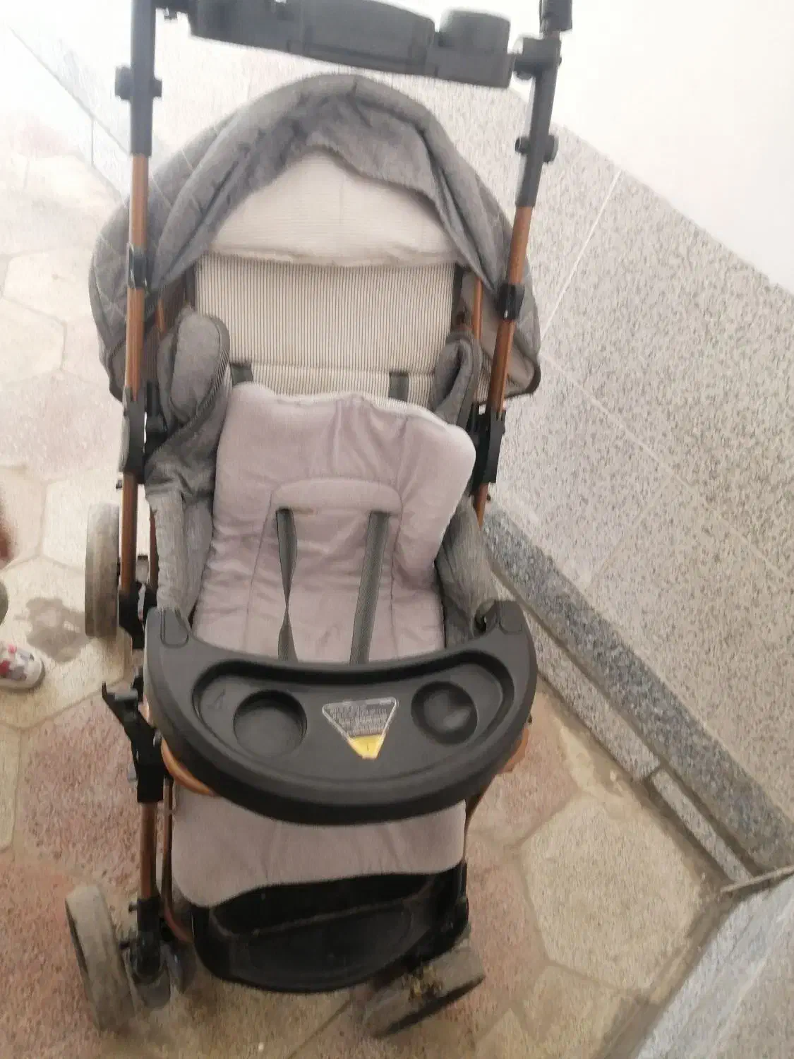 کالسکه وکریردرحدنو|کالسکه و لوازم جانبی|نیشابور, میدان حافظ|دیوار