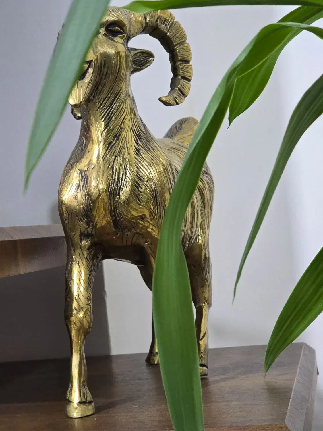 طلا حدود 10 تا 15 گرم|جواهرات|شهریار, شهریار|دیوار