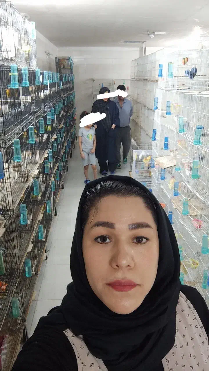 سالن طوطی نویان پاروت کوتوله عروس قناری کفتر|پرنده|مشهد, فاطمیه|دیوار