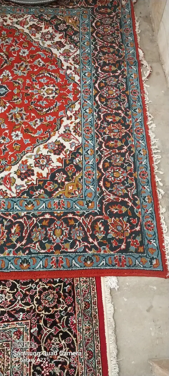 ۲ تخته فرش ۱۲ متری|فرش|شیراز, باغ تخت|دیوار