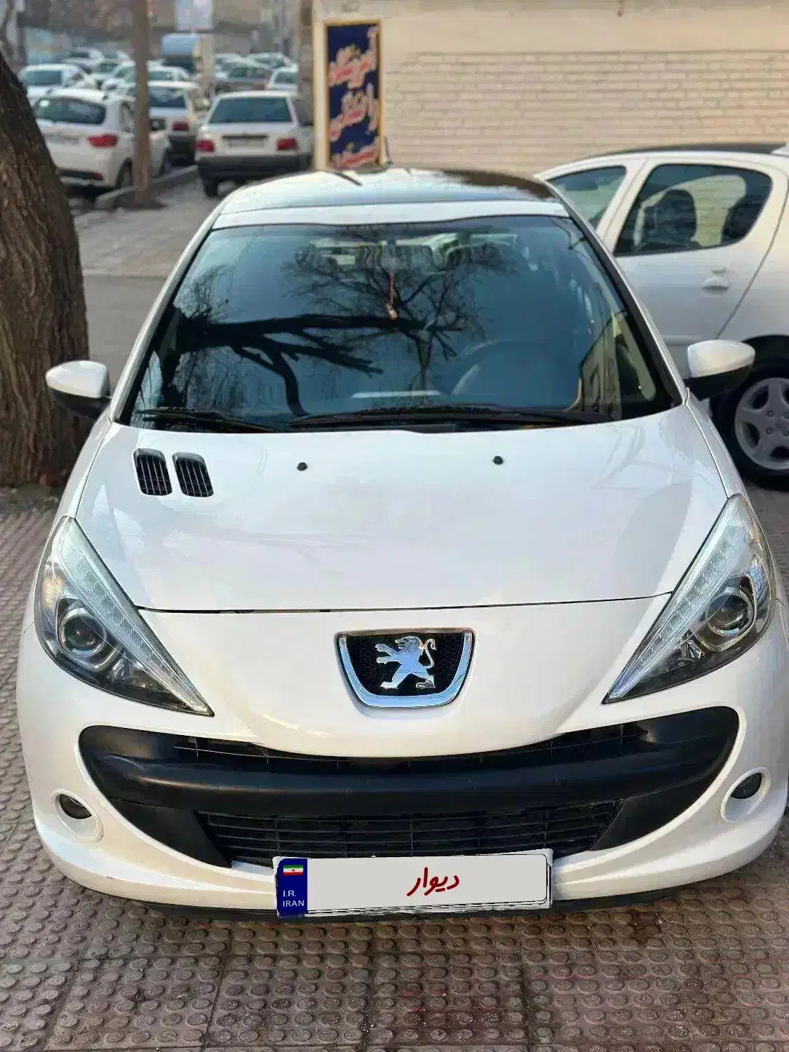 ۲۰۷پانا مدل ۱۴۰۰|خودرو سواری و وانت|کرمانشاه, |دیوار