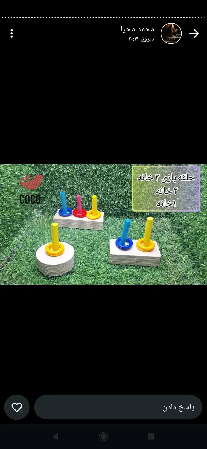 پرنده لوازم بازی و ملزومات عروس طوطی مرغ عشق|پرنده|لاهیجان, کوی زمانی|دیوار