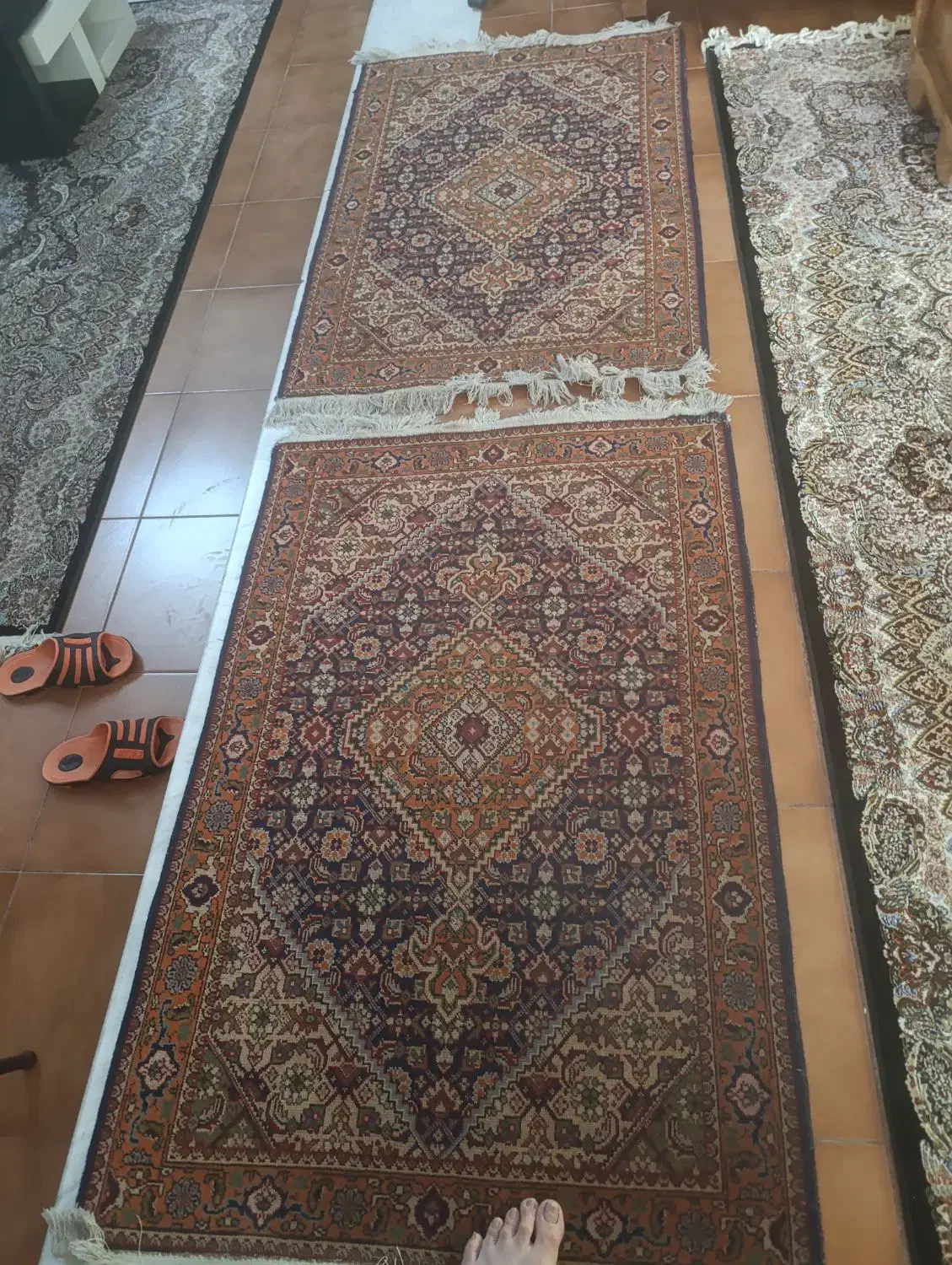 فرش دست بافت|فرش|ساوه, |دیوار