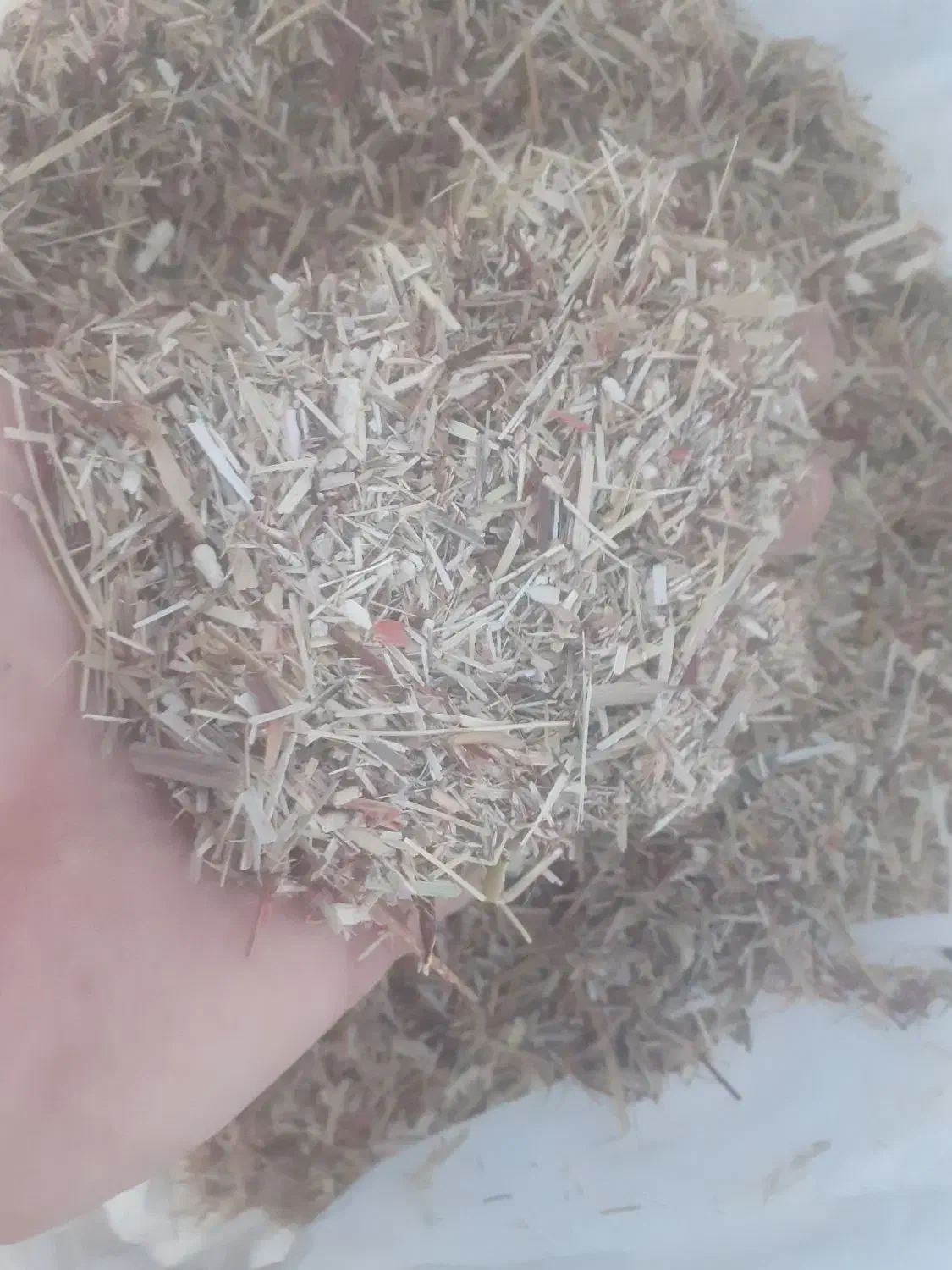 خریدو فروش کاه نرم وخارشتر|عمده‌فروشی|گنبد کاووس, |دیوار