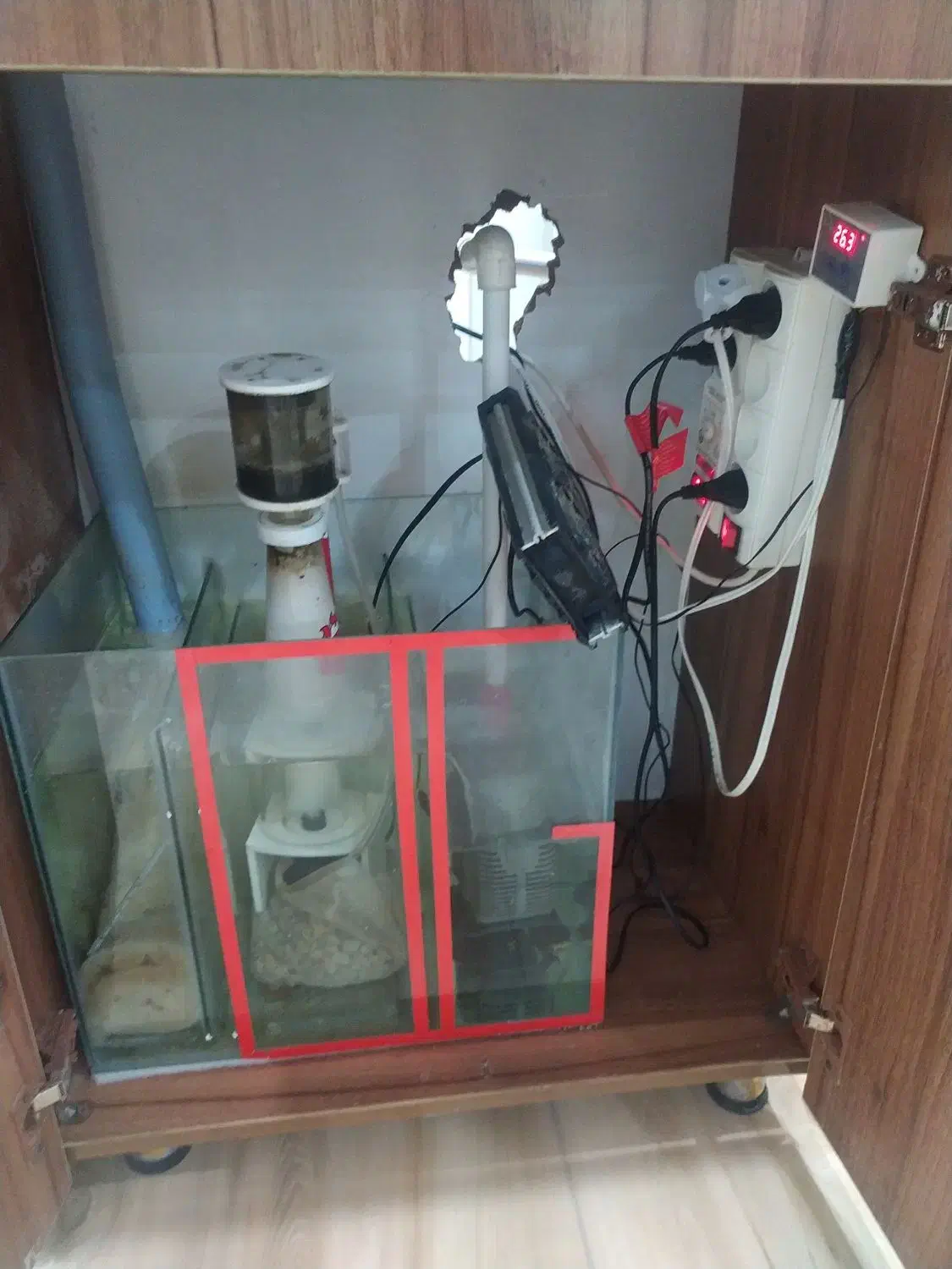 آکواریوم|ماهی|سنندج, |دیوار