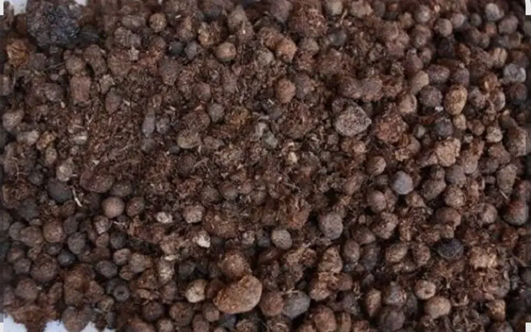 کود گوسفندی تمیز بدونه زره ای اشغال تحویل در باغ|خدمات باغبانی و درختکاری|گل تپه, |دیوار