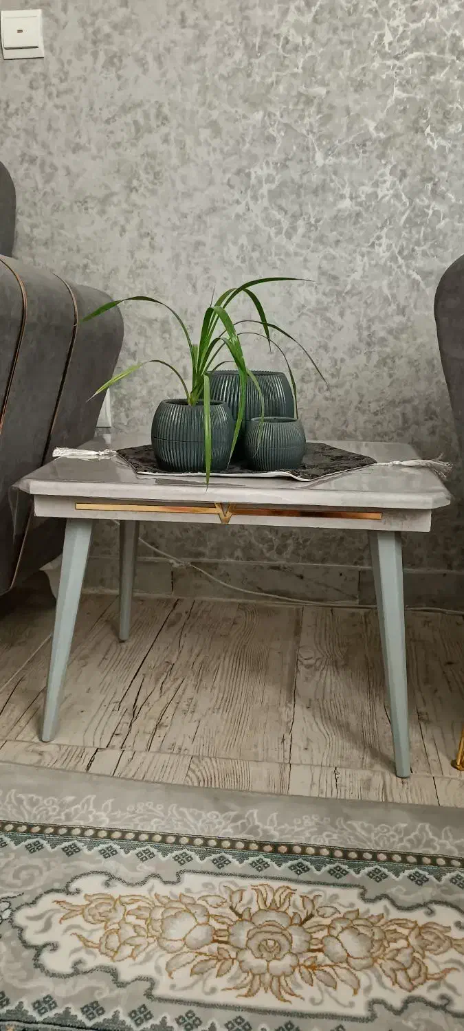 جلو مبلی|مبلمان خانگی و میز عسلی|اسفراین, |دیوار