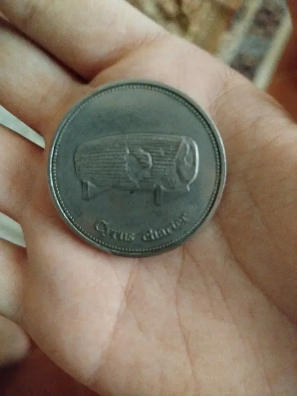 مدال|کلکسیون سکه، تمبر، اسکناس|شاهینشهر, شهرک میلاد|دیوار