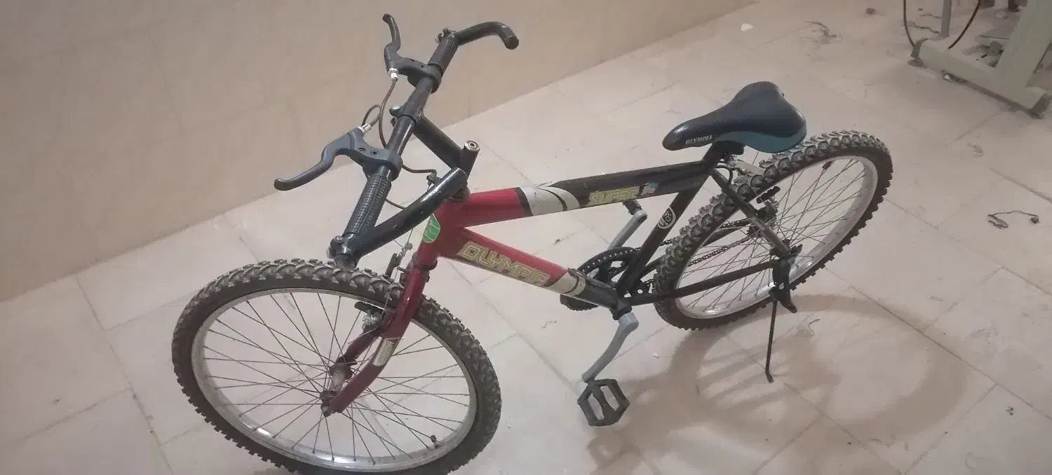 دوچرخه 24|دوچرخه، اسکیت، اسکوتر|حمیدیا, |دیوار