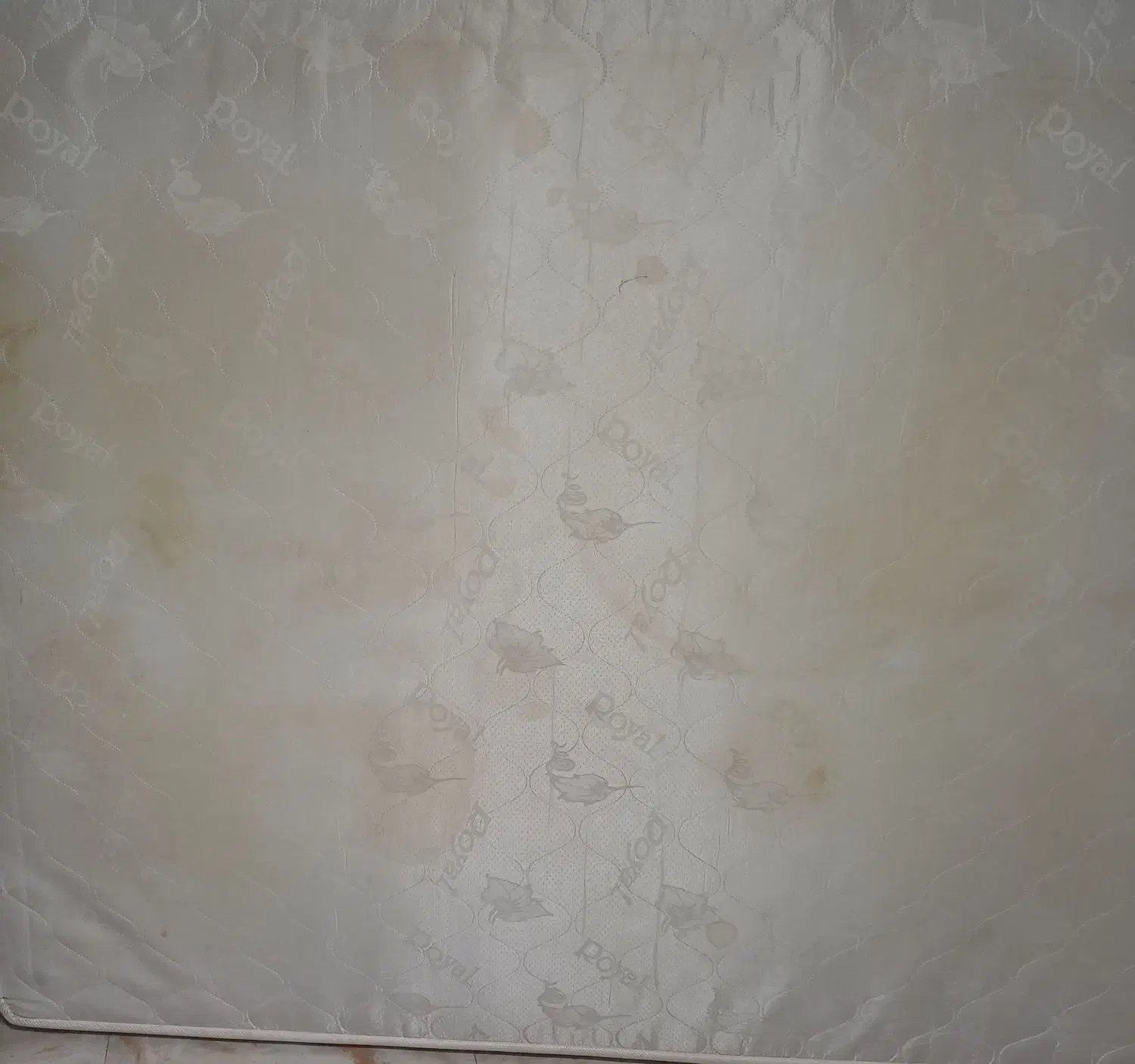 تشک دونفره رویال|تشک تختخواب|کلاچای, |دیوار