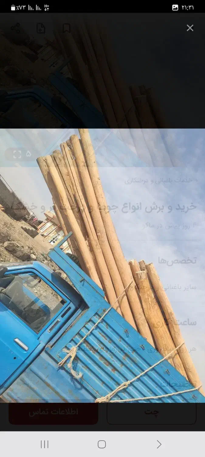 خرید انواع درخت خشک تر|خدمات باغبانی و درختکاری|چالدران, |دیوار