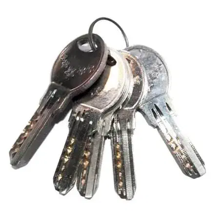 دسته کلید با دو عدد فلش گمشده خ شریعتی چ خیام|اشیا|گنبد کاووس, |دیوار