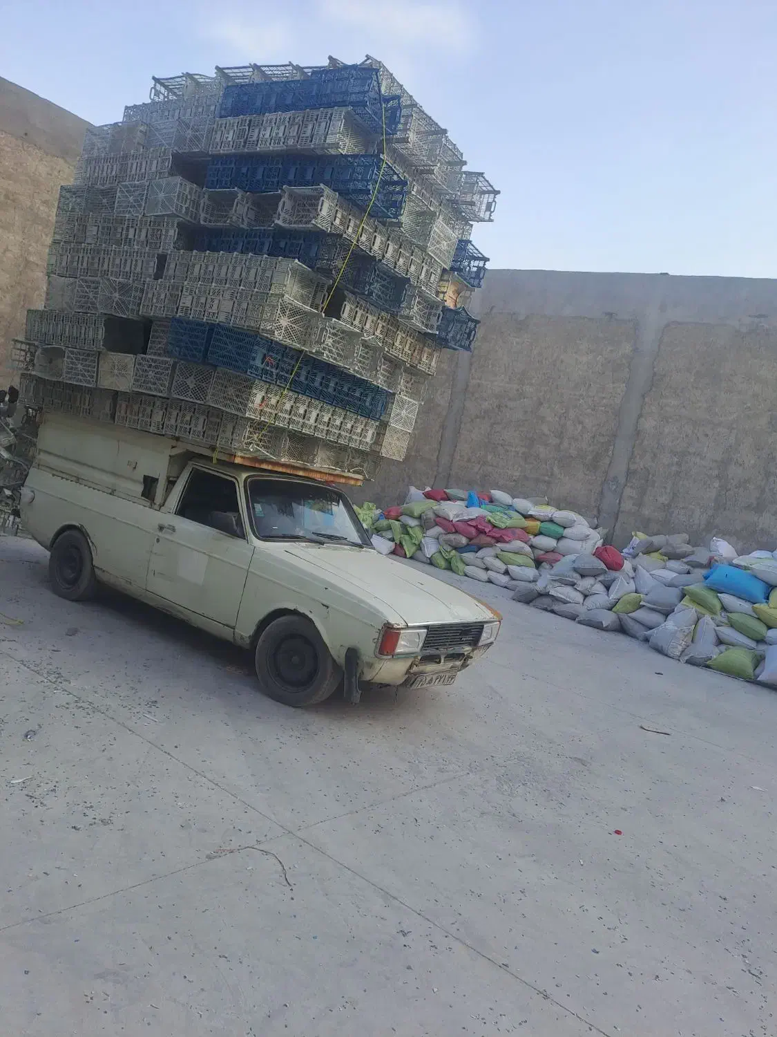 سبدوکارتن موز  دراسرع وقت|عمدهفروشی|مشهد, شهرک صنعتی توس|دیوار