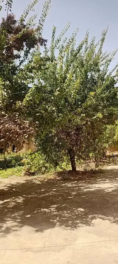 خونه باغ ویلایی|فروش خانه و ویلا|فرمهین, |دیوار