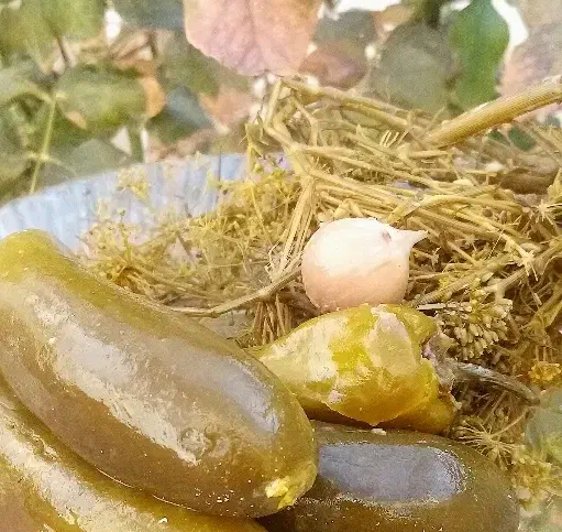 خیارشور|خوردنی و آشامیدنی|گل تپه, |دیوار