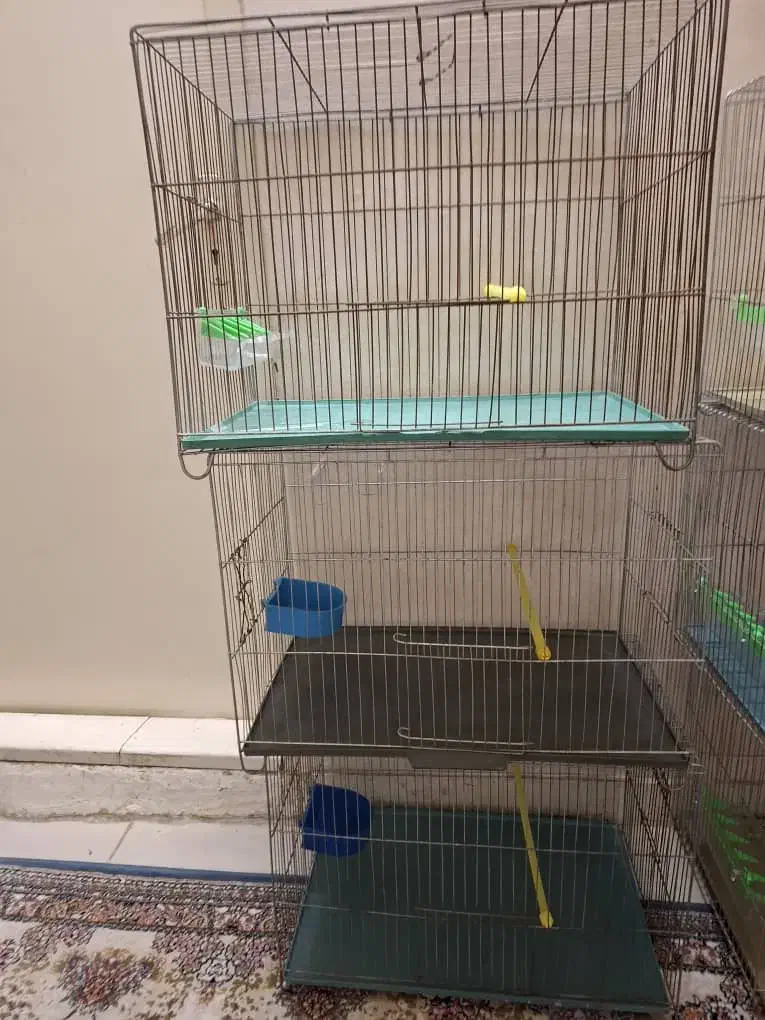 قفس پرنده|لوازم جانبی حیوانات|تهران, قصر فیروزه ۱|دیوار