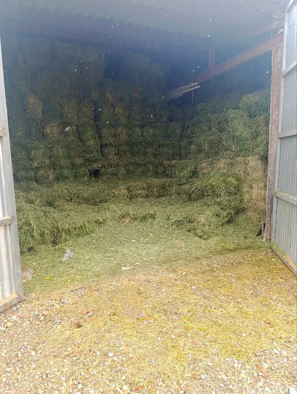 یونجه پرس و کاه|عمده‌فروشی|قره چای, |دیوار