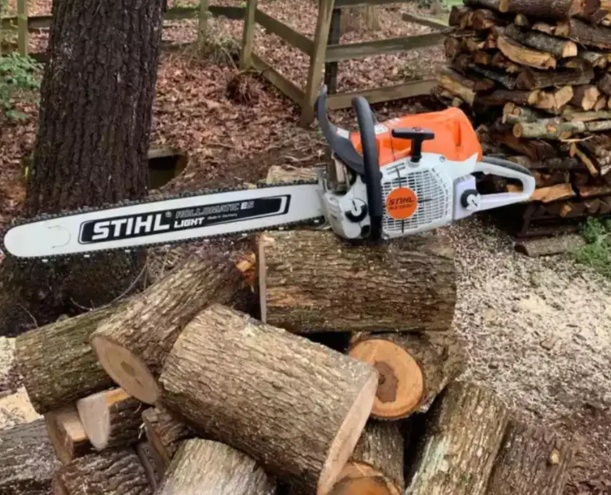 هرس و قطع درخت|خدمات باغبانی و درختکاری|شیراز, شهرک گلستان|دیوار