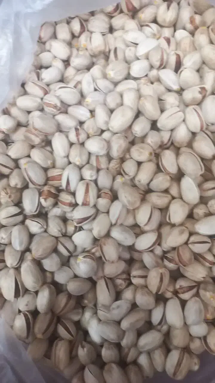 پسته و تخمه|خوردنی و آشامیدنی|بهاباد, |دیوار