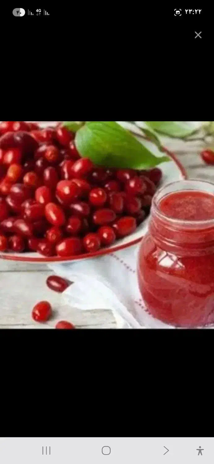 ذغال اخته، آلوچه خشک، توت قرمز ، توت معمولی|عمده‌فروشی|سراب, |دیوار