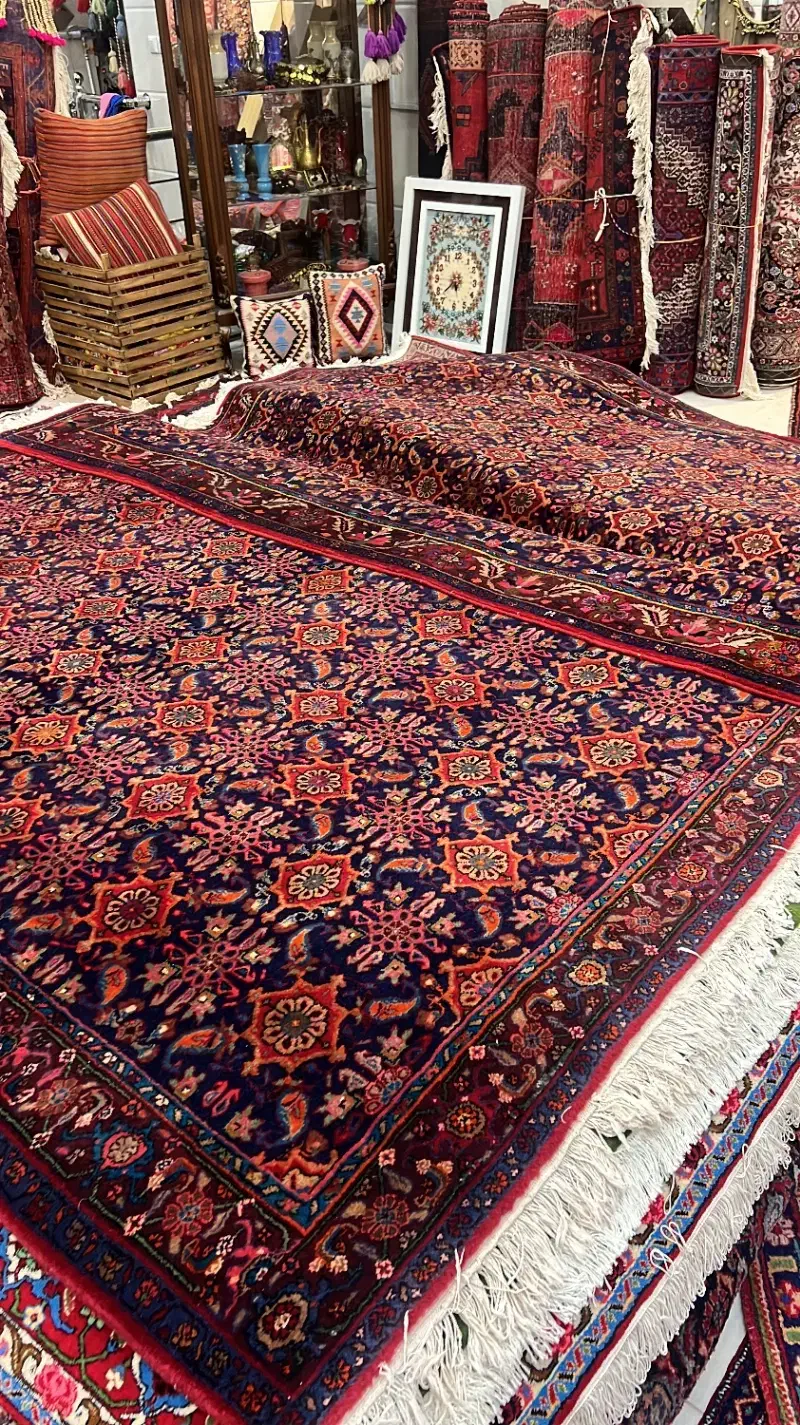 قالی قدیمی|فرش|سنندج, |دیوار