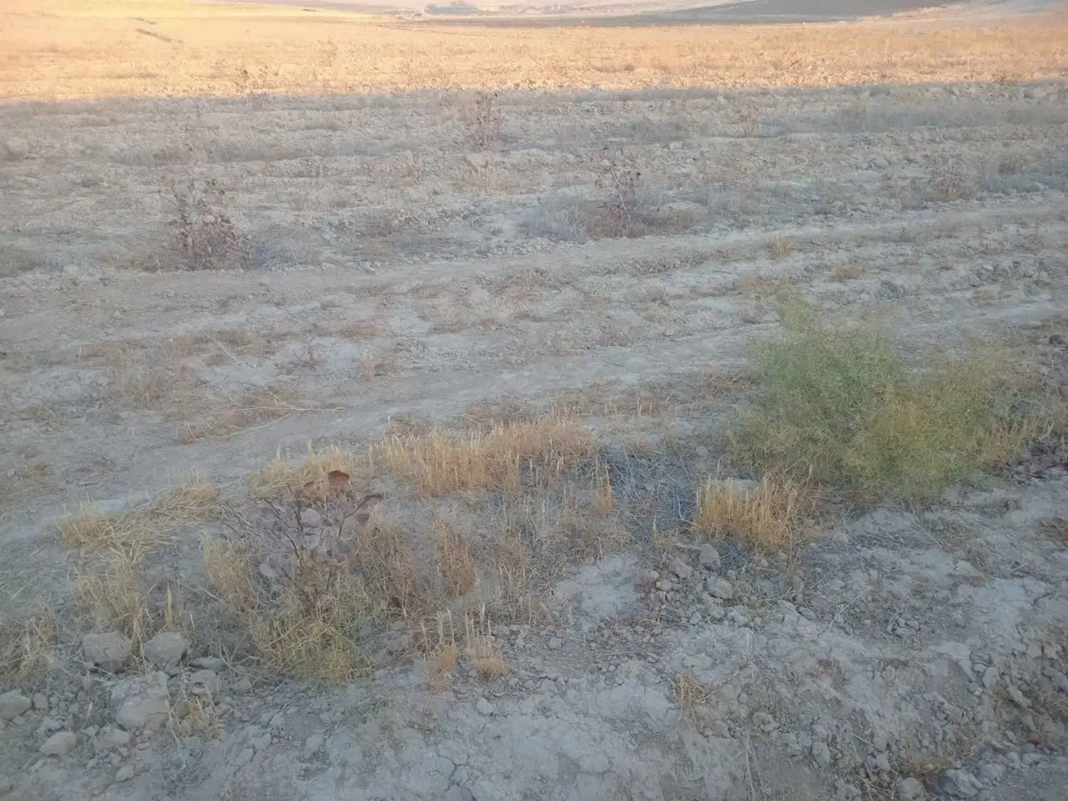 زمین|فروش زمین و ملک کلنگی|رضویه, |دیوار