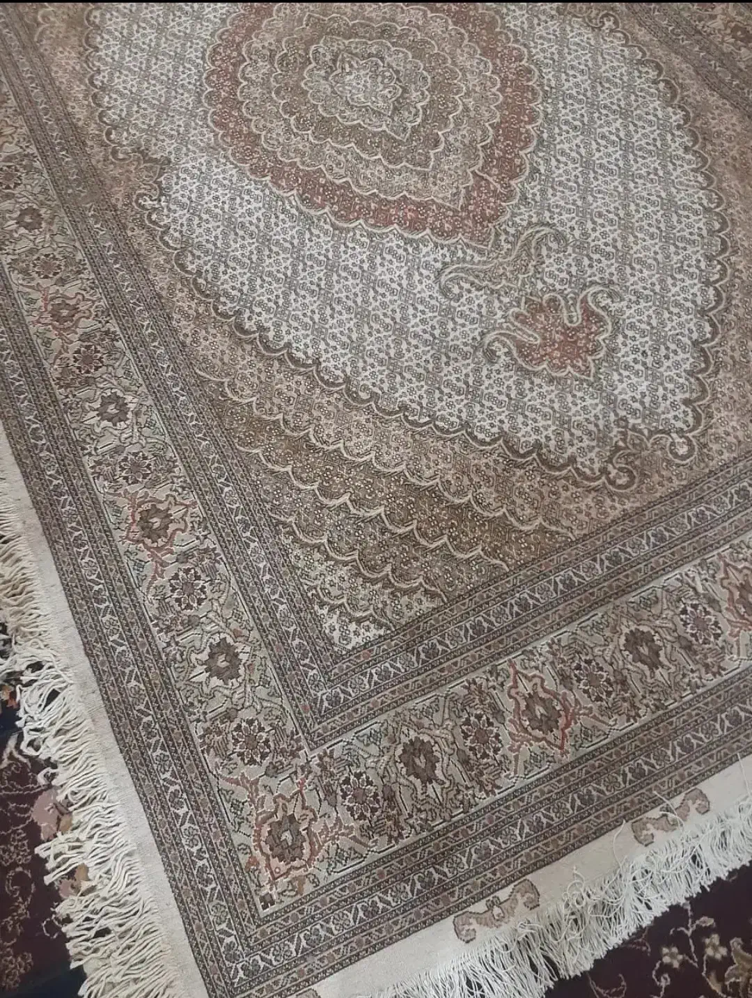 تک ۶متری حاشیه افسری برجسته دار|فرش|خوی, |دیوار