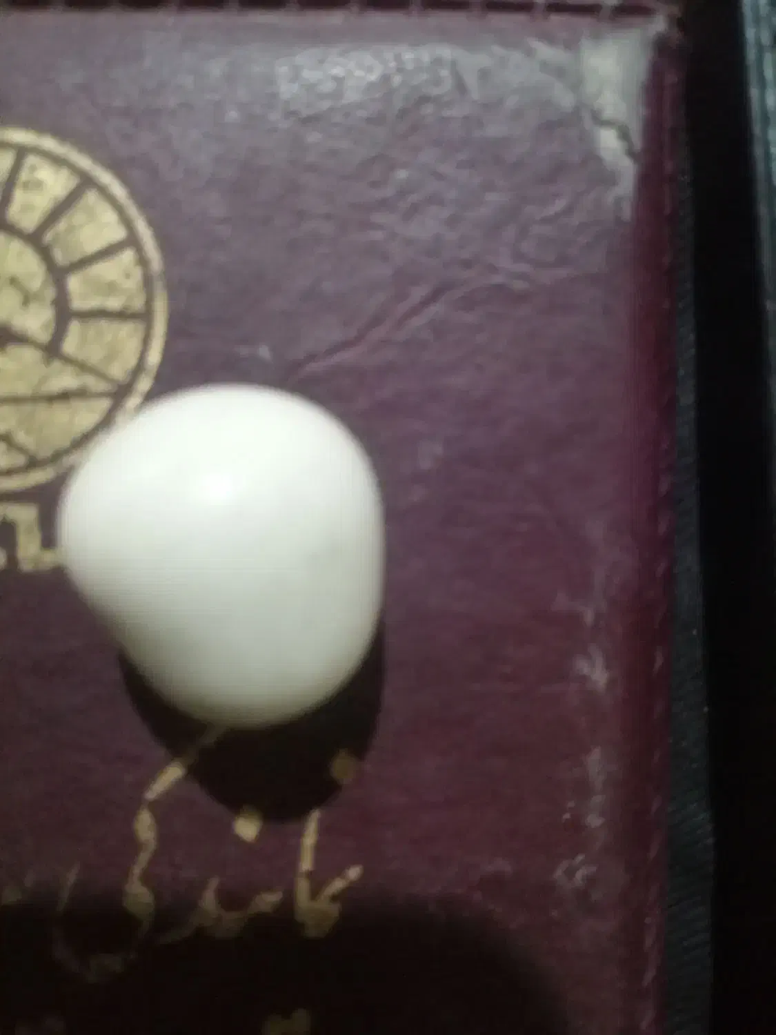 سنگ الماس آسیاب|کلکسیون اشیاء عتیقه|باغ ملک, |دیوار