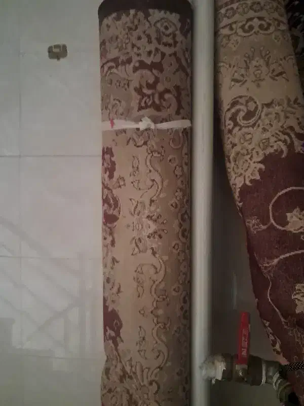 فرش|فرش|تاکستان, |دیوار