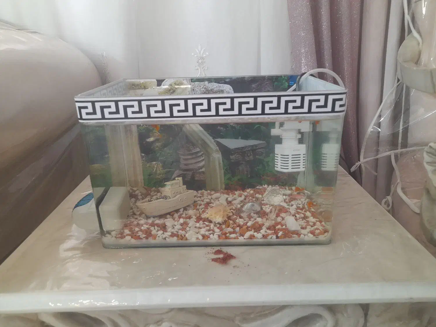 آکواریوم شیشه خم همراه ۲۰ ماهی و تزئینات|ماهی|تهران, علی‌آباد|دیوار