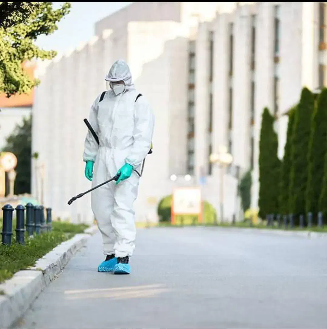 سمپاشی به صورت اصولی سوسک کابینتی موریانه زدایی|خدمات نظافت|دزفول, |دیوار