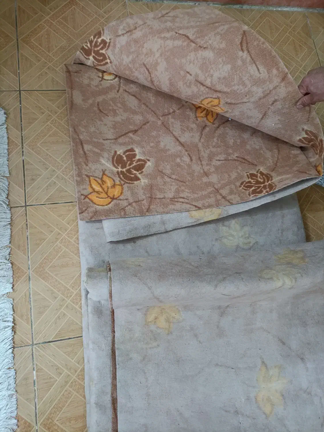 موکت|موکت|قم, علی آباد سعدگان|دیوار