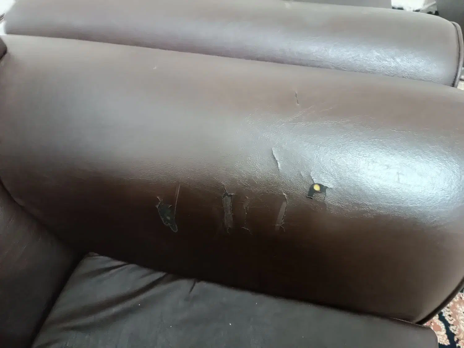 مبل هفت نفره|مبلمان خانگی و میز عسلی|شاهرود, |دیوار