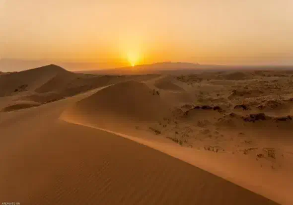 راهنمایی آخر هفته جمعه|فعالیت داوطلبانه|قم, باغ کرباسی|دیوار