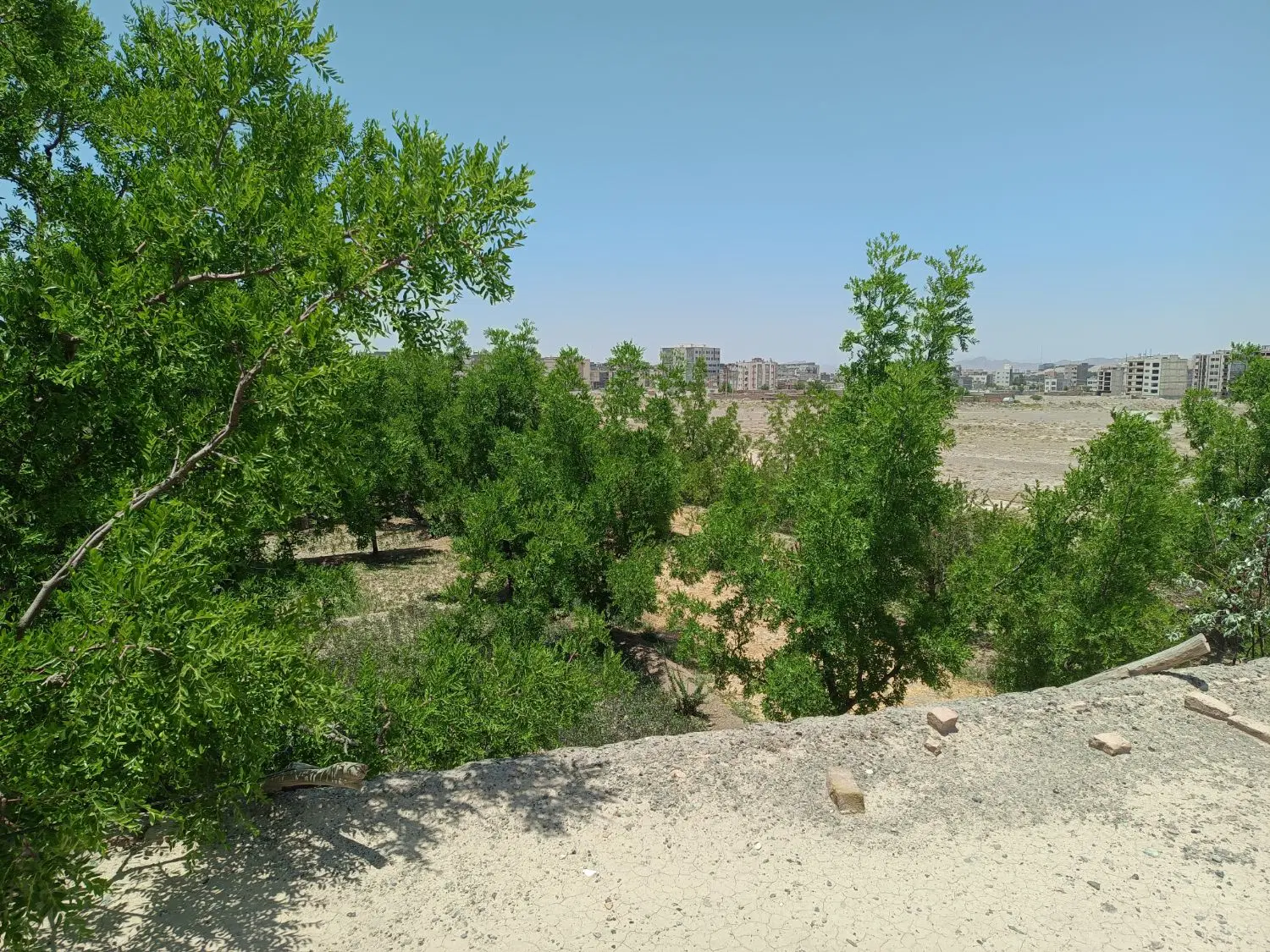 تصویر 3