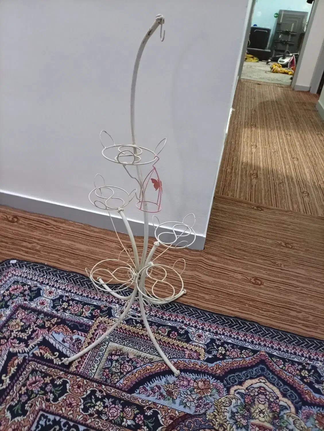 استندگل|گل و گیاه طبیعی|اهواز, لشکرآباد|دیوار