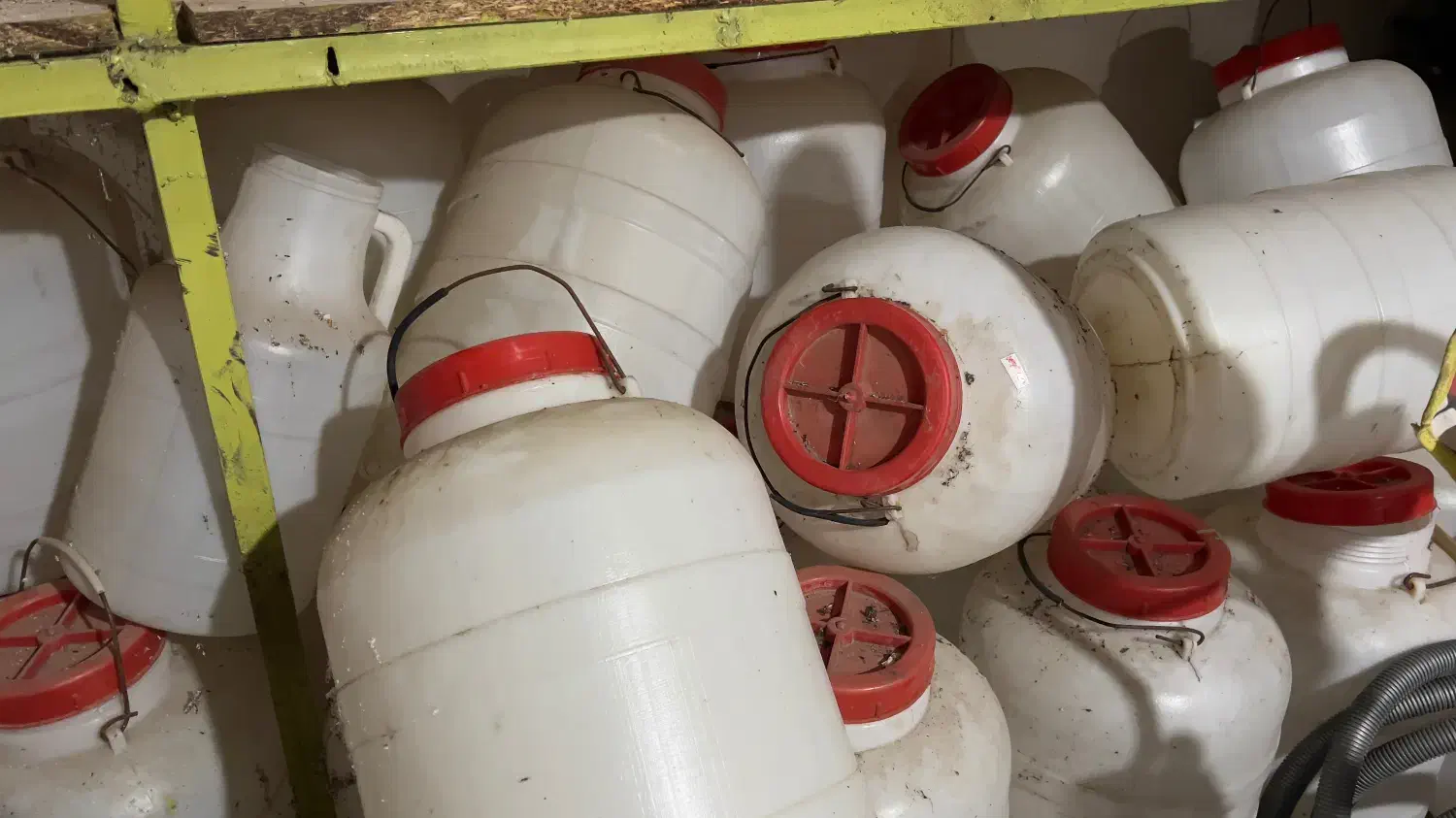 دبه بیست لیتری|ظروف نگهدارنده، پلاستیکی، یک‌بارمصرف|مزرعه کتول, |دیوار