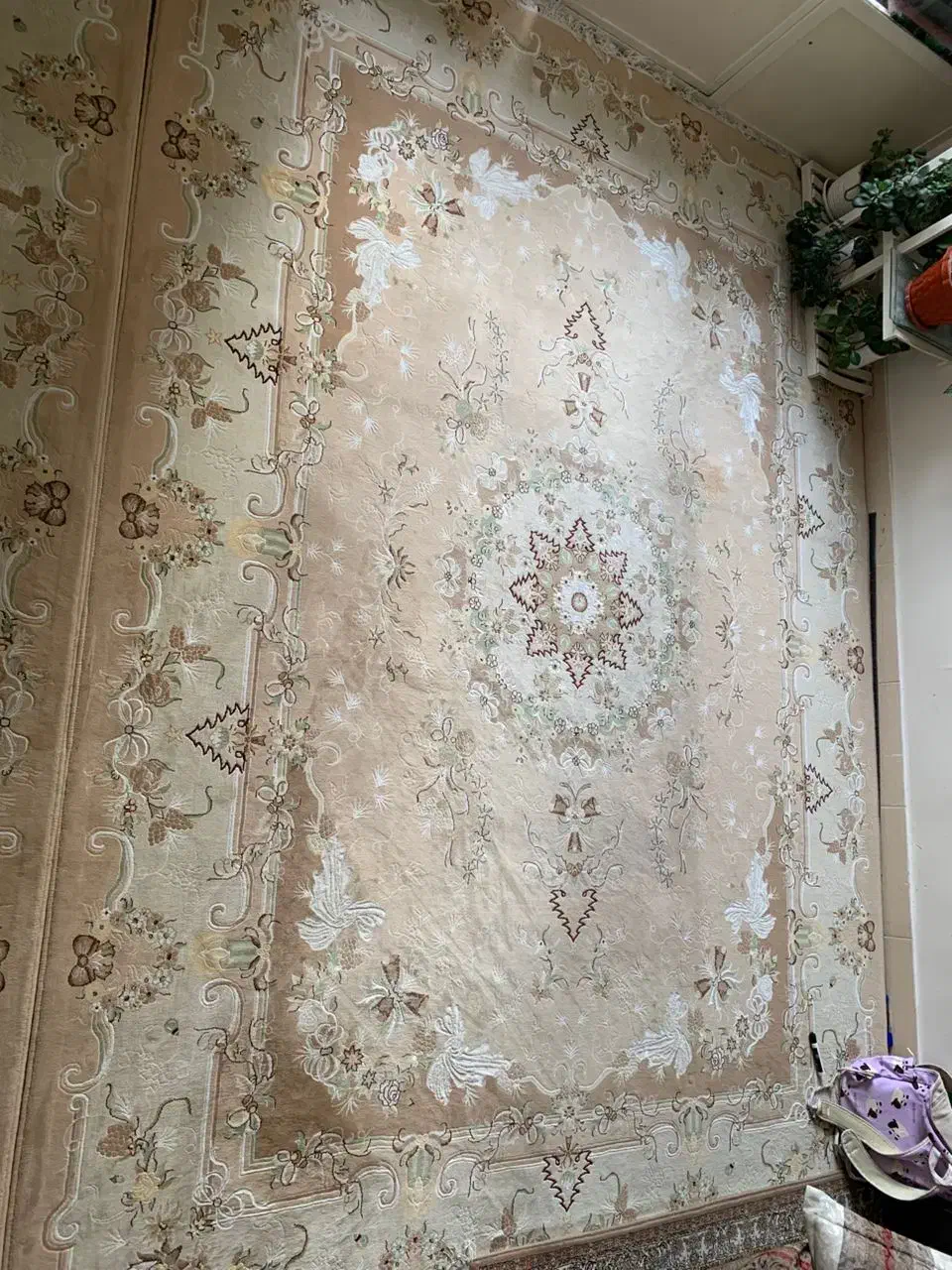 فرش|فرش|تهران, افسریه شمالی|دیوار