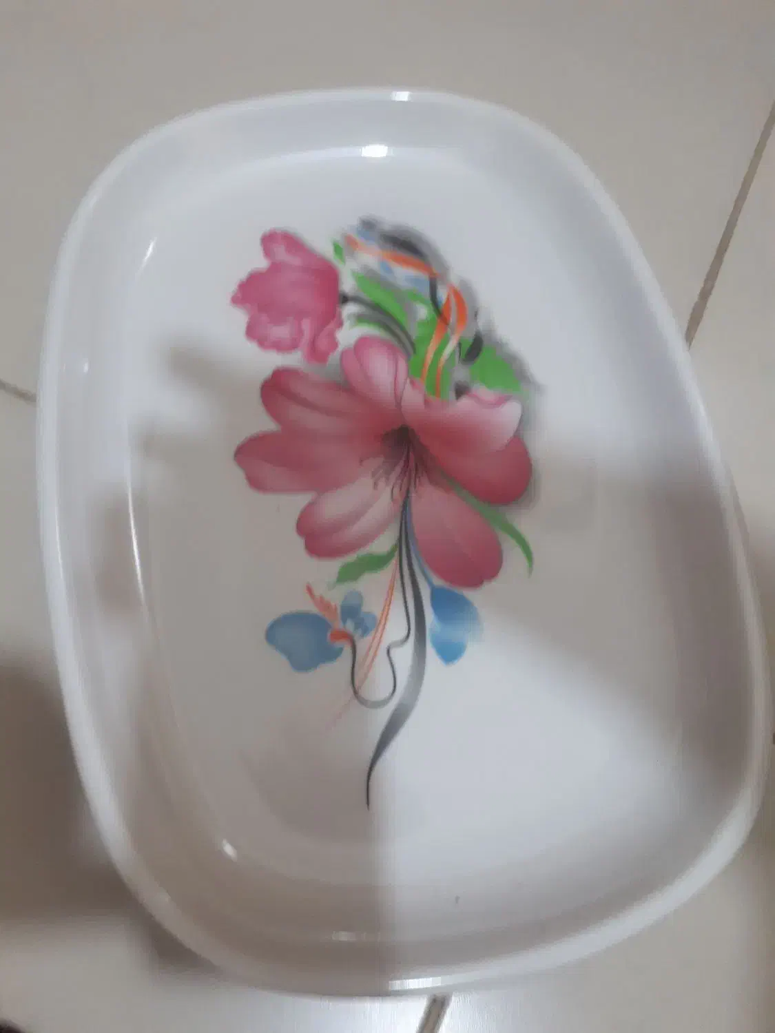 دیس ملامین نو|ظروف سرو و پذیرایی|شیراز, اصلاح‌نژاد|دیوار