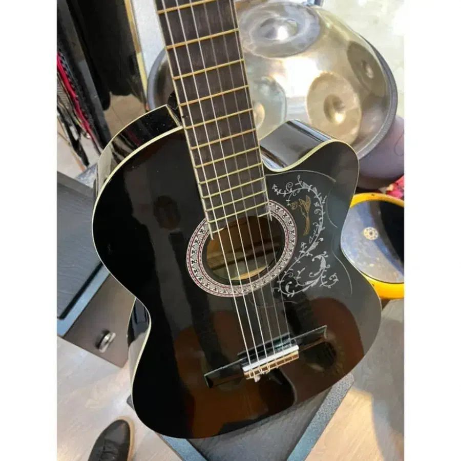 گیتار پائوچیا سالم|گیتار، بیس، امپلیفایر|گلبهار, شهر جدید گلبهار|دیوار