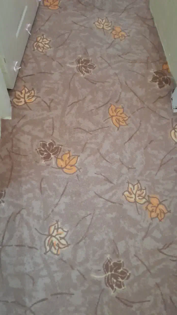 موکت ۴۲متر|موکت|تبریز, |دیوار