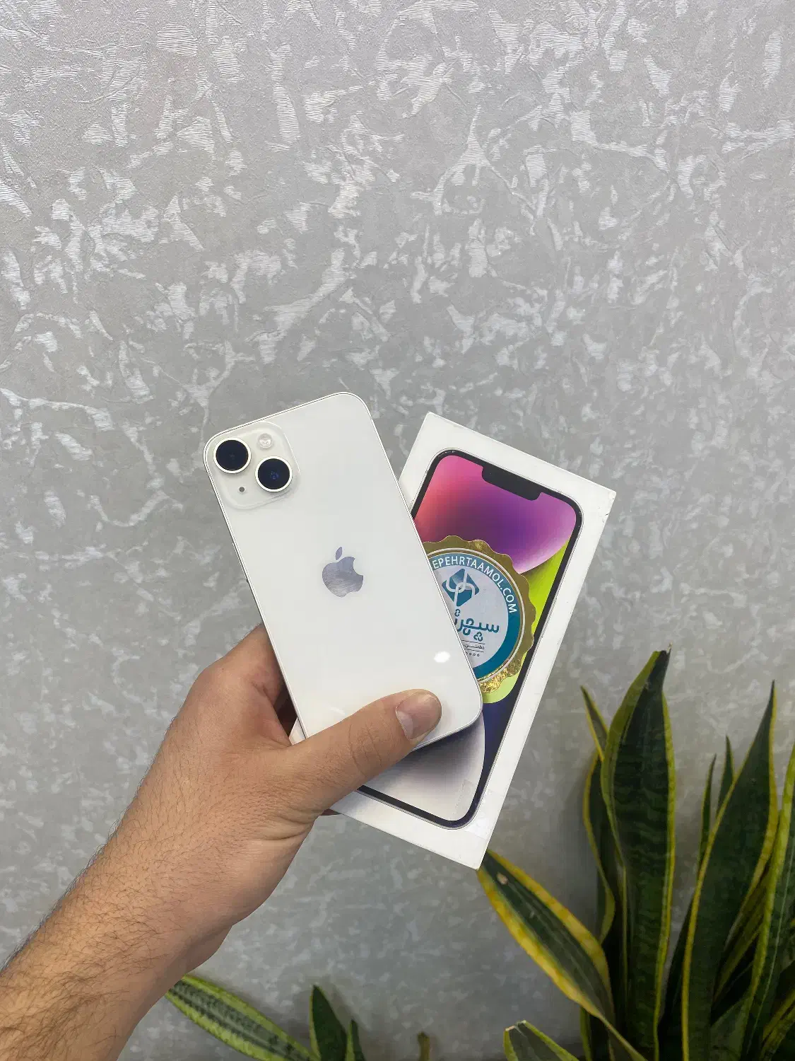 Iphone14 /normal / starlight|موبایل|اصفهان, مفتح|دیوار