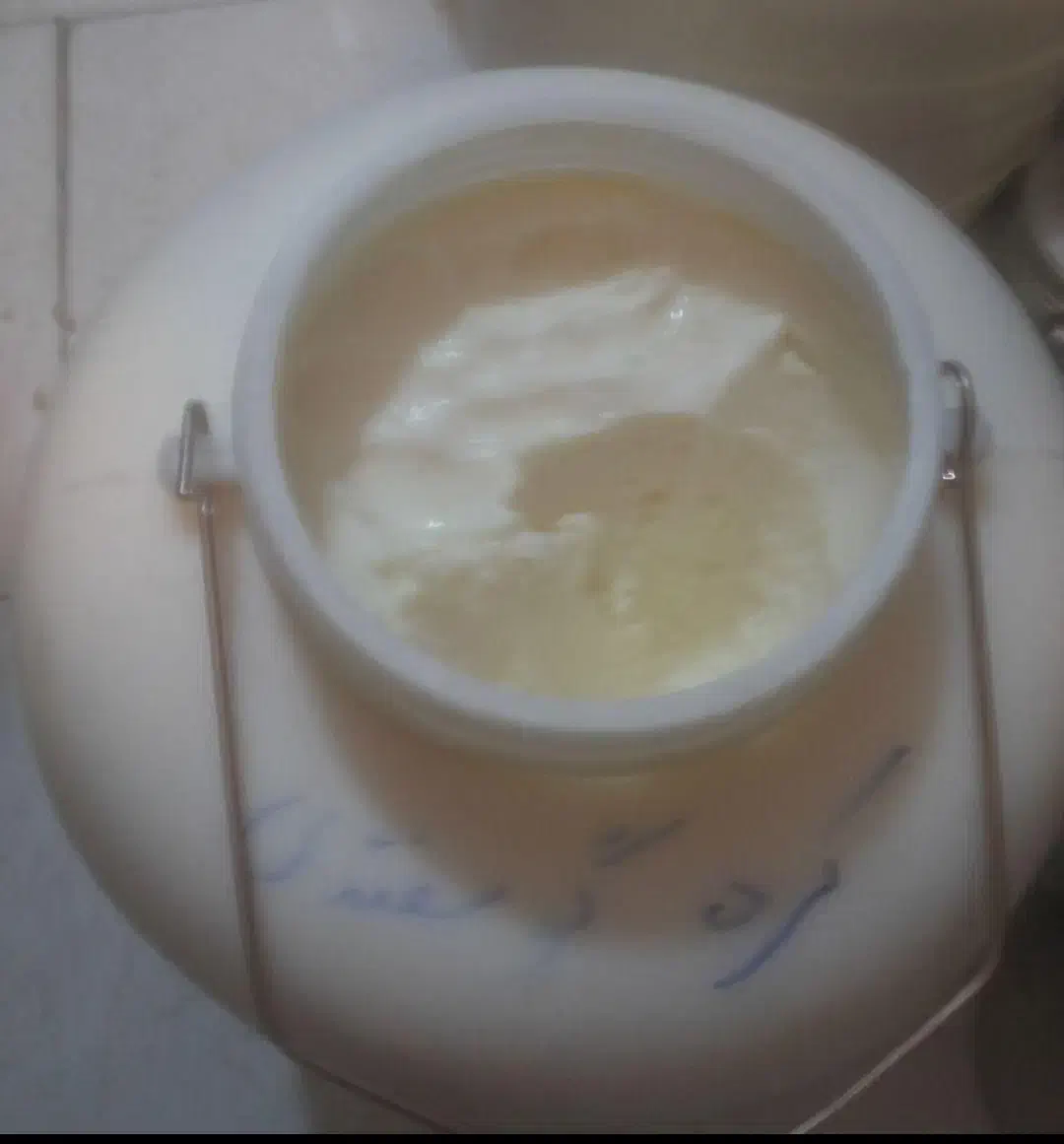 کره گوسفند عمده پخش کلی ‌جزی  ماست چکیده|عمده‌فروشی|مشهد, دوست آباد|دیوار