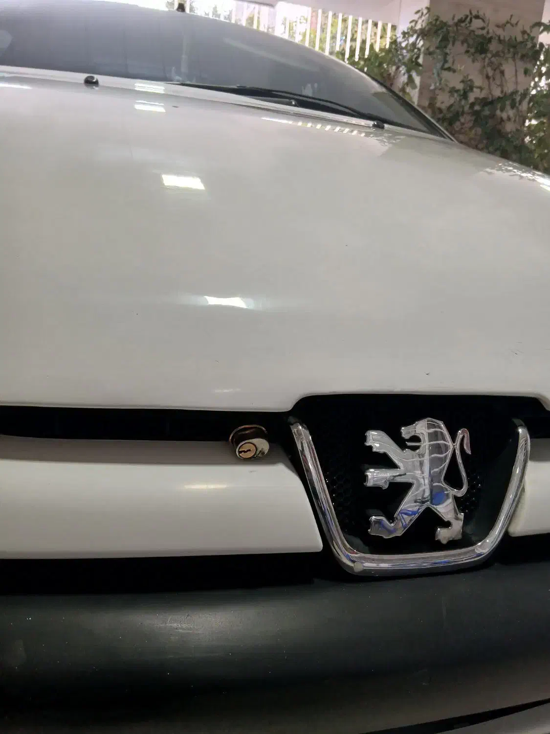 ۲۰۶ مدل ۱۳۹۷|خودرو سواری و وانت|گنبد کاووس, |دیوار